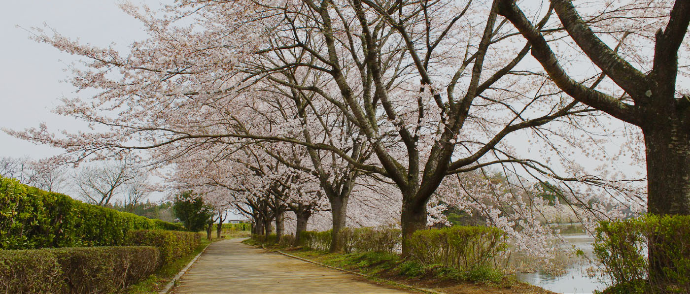 なかじまへきらっしぇ！ 写真01